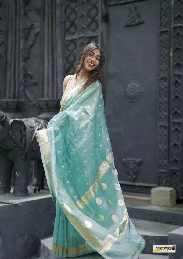 Women Traditional Saree