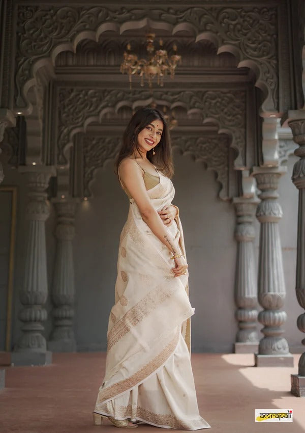 Beautiful designer Party wear saree purple