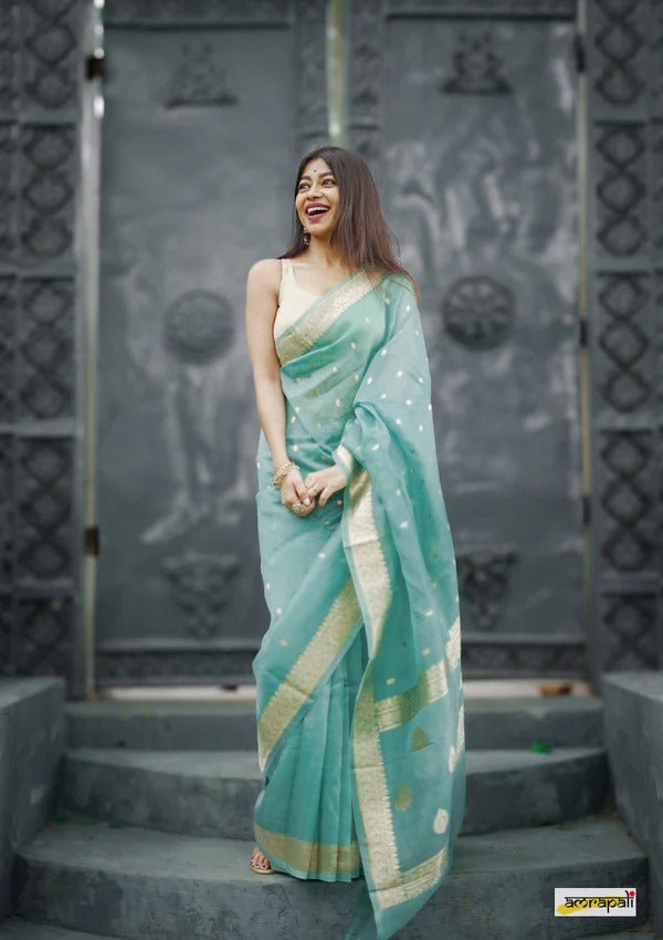 Women Traditional Saree
