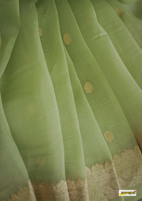 Women's Light Green Silk Saree with Golden Zari Border