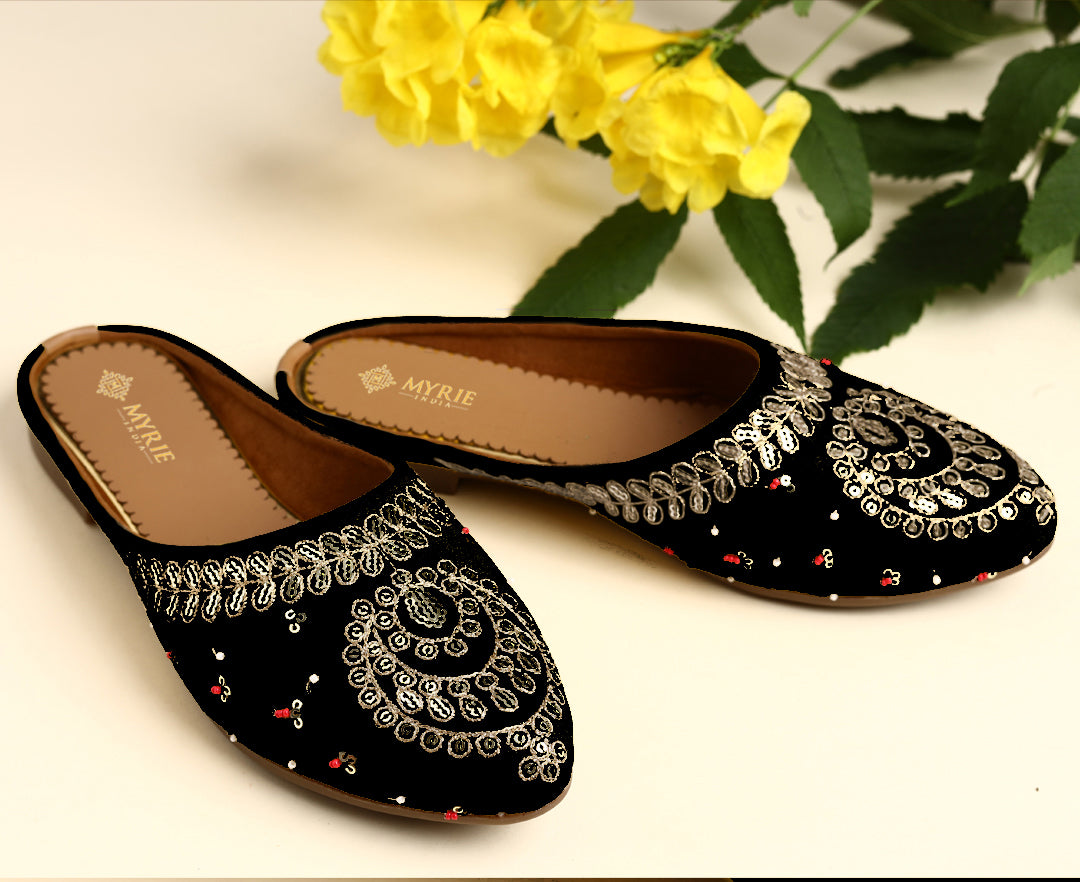 Embroidered Pointed Shape Ballerinas