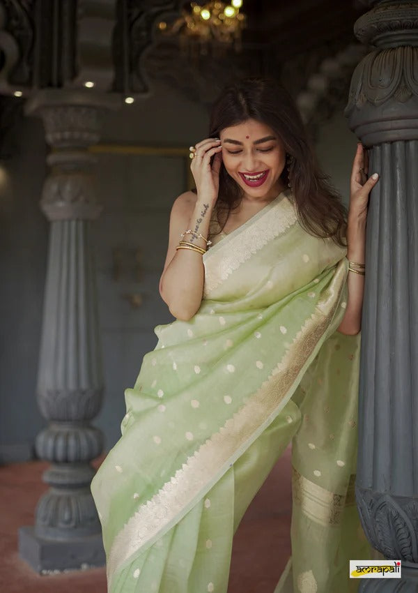 Women's Light Green Silk Saree with Golden Zari Border