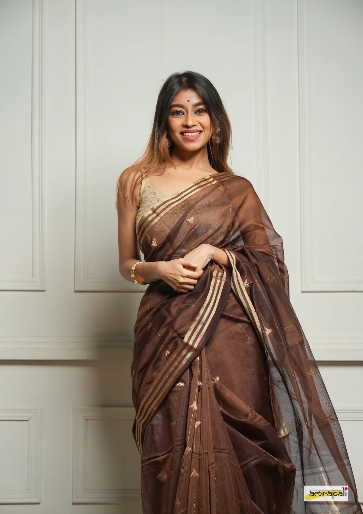 Women's Chocolate Brown Organza Saree with Golden Border