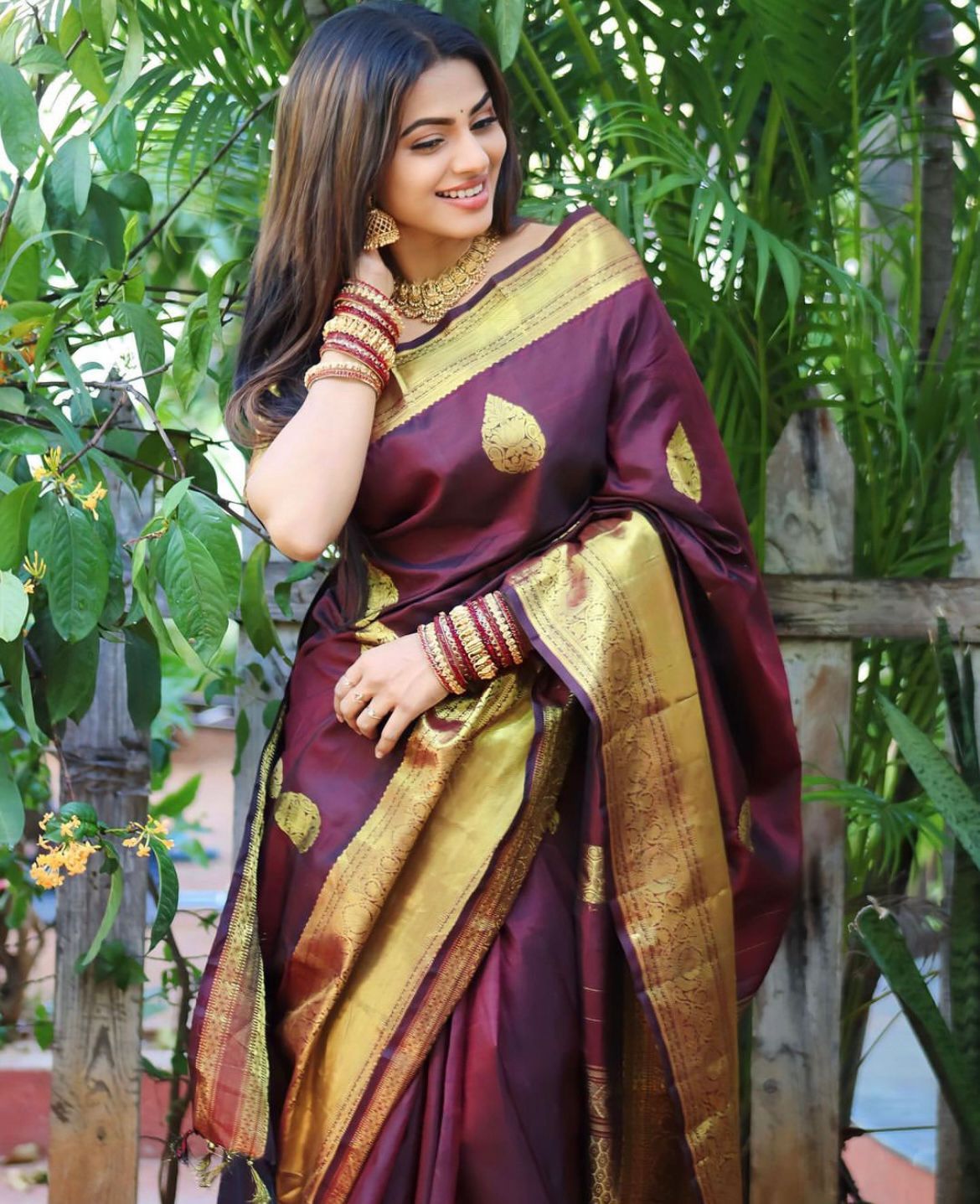 Traditional Saree