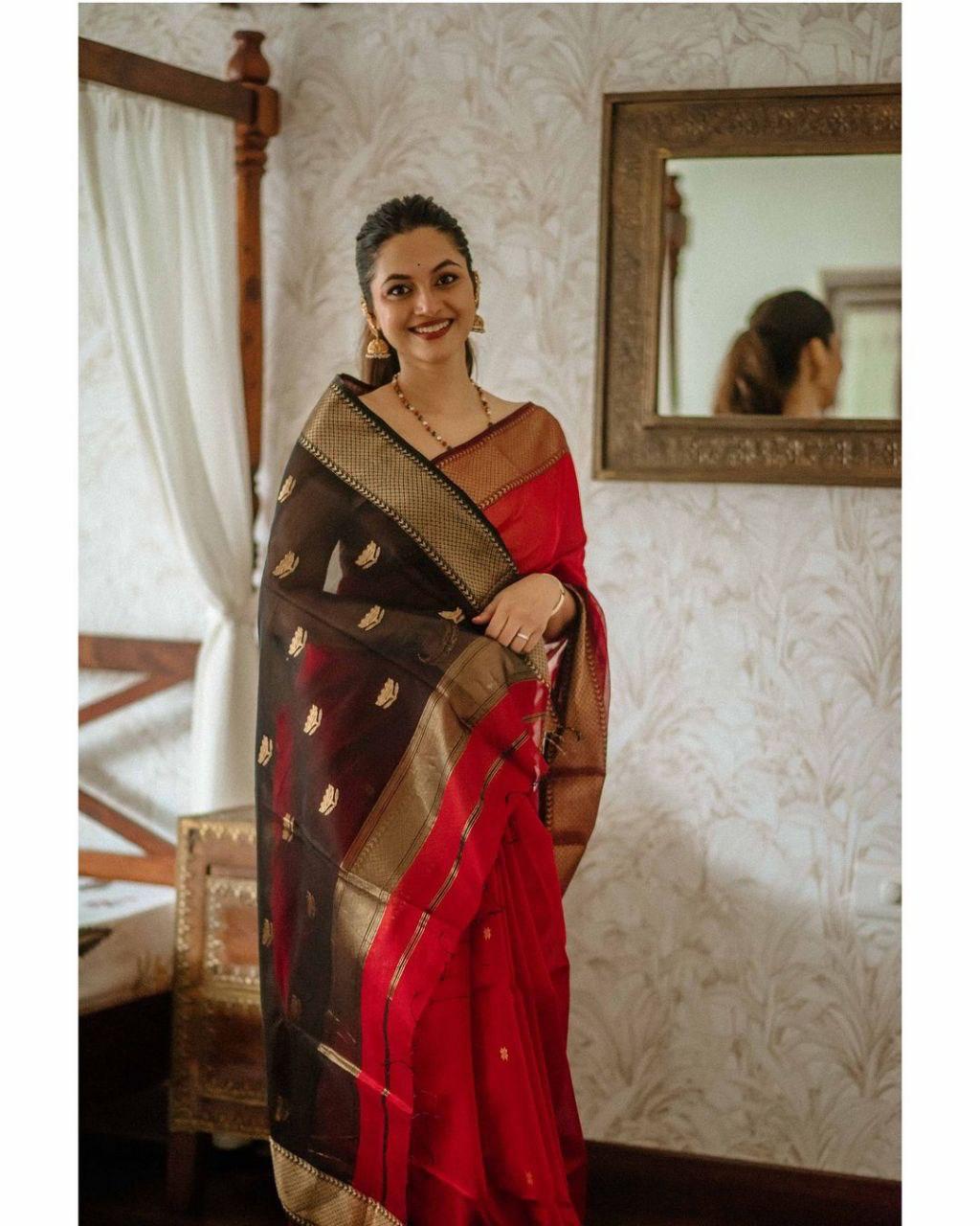 Scarlet Red Maheshawari Cotton Silk Saree