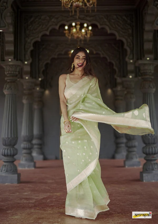 Women's Light Green Silk Saree with Golden Zari Border
