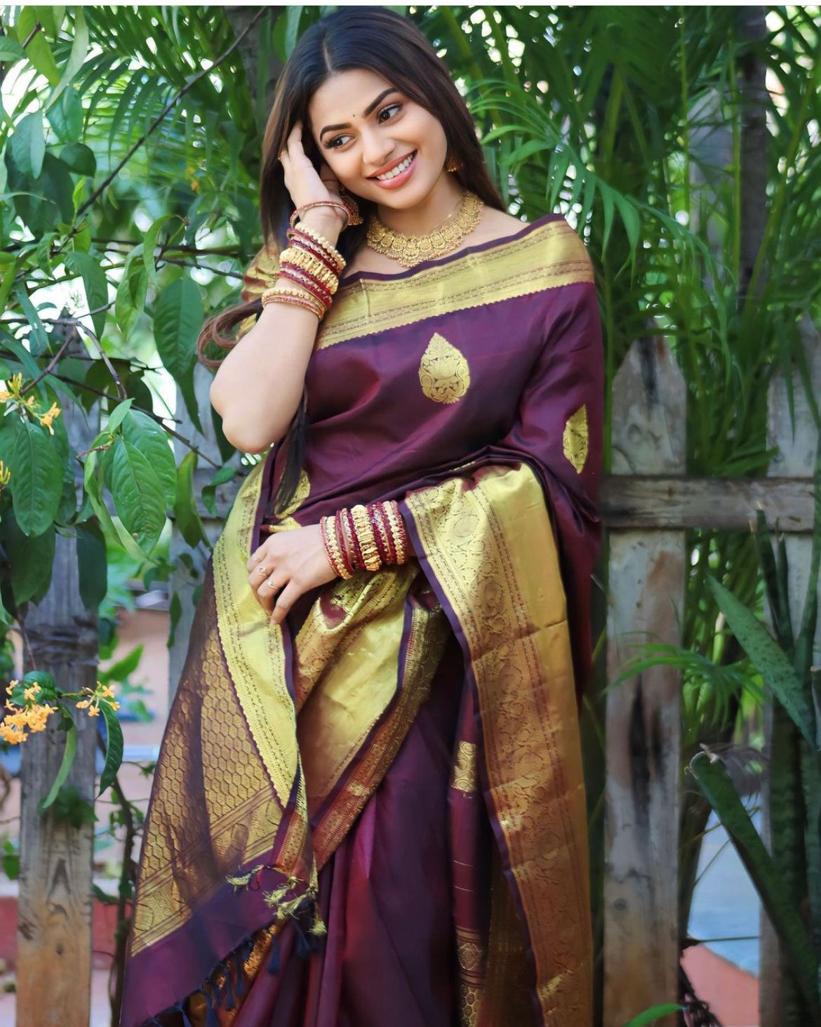 Traditional Saree