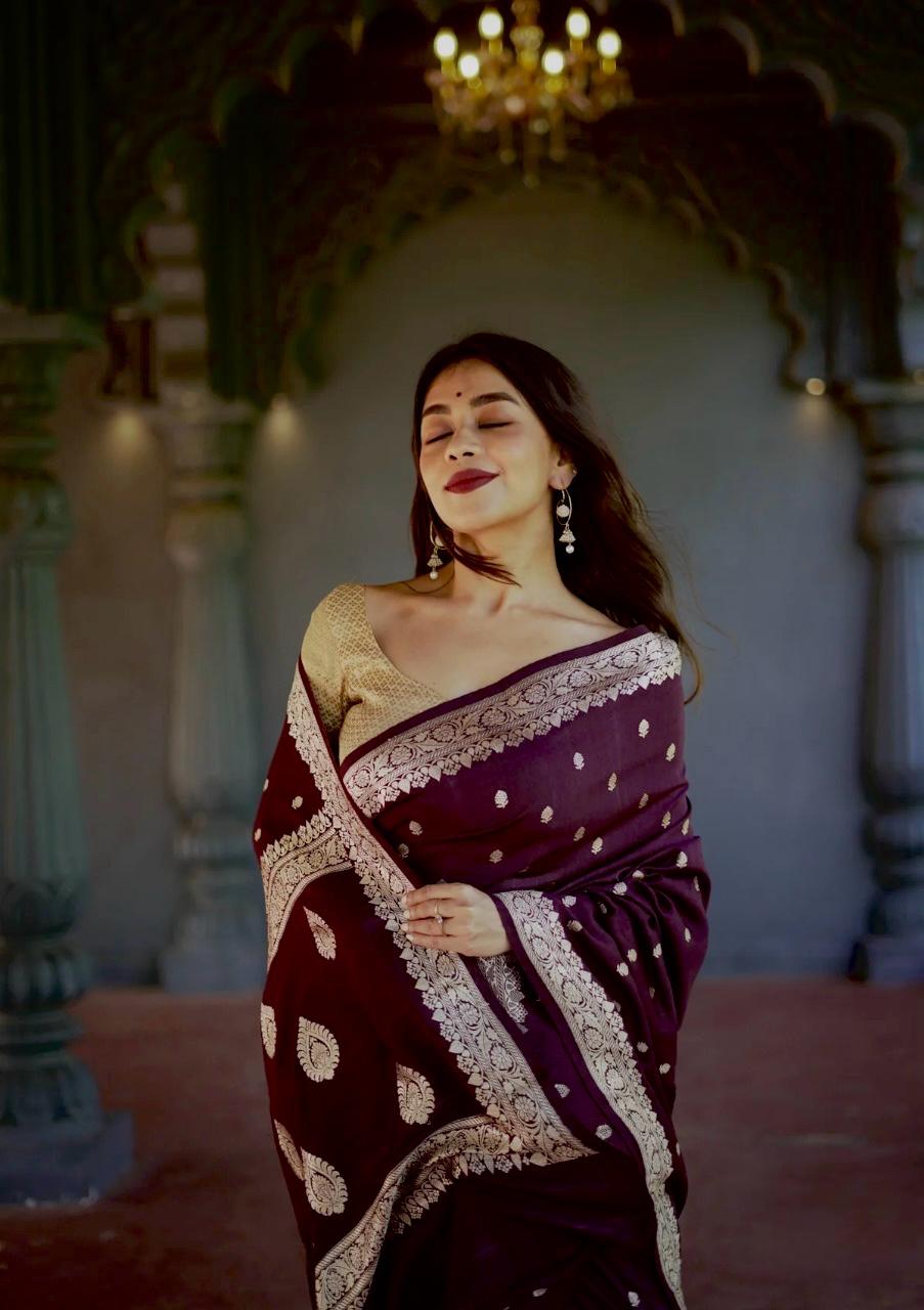 Wine Elegance Saree