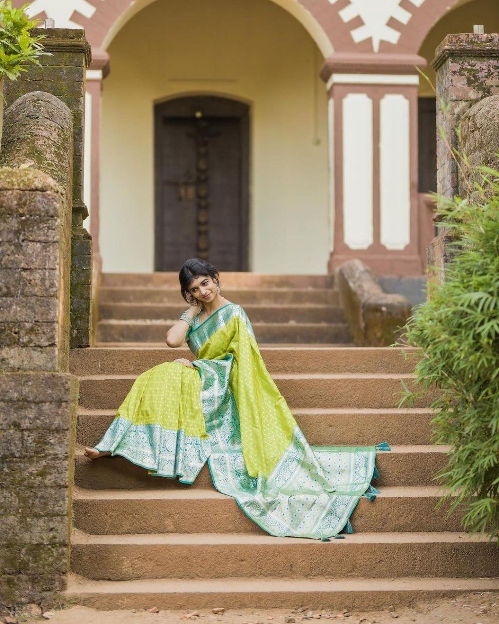 Women Woven Saree with Contrast Border