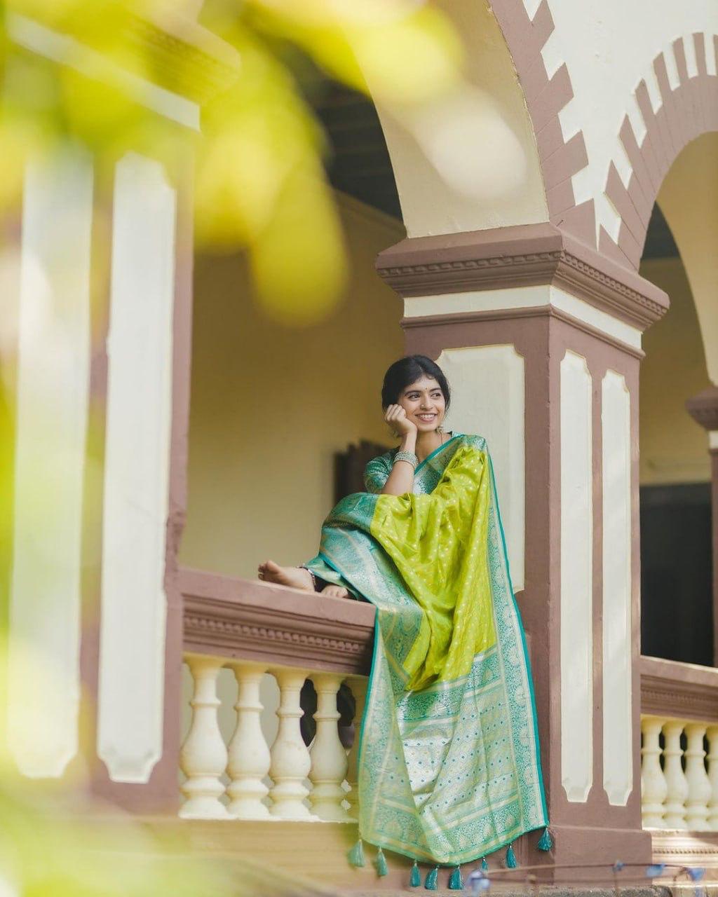 Women Woven Saree with Contrast Border