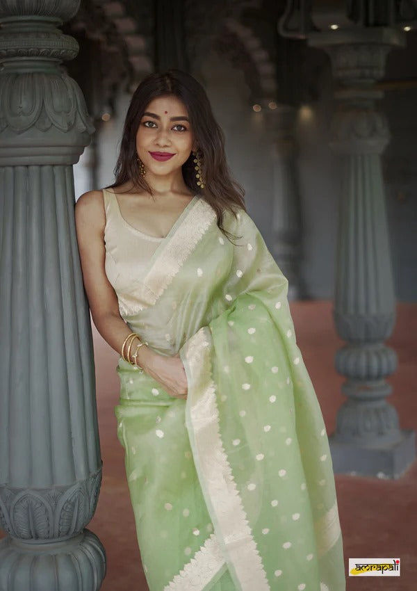 Women's  Light Green Silk Saree with Golden Zari Border