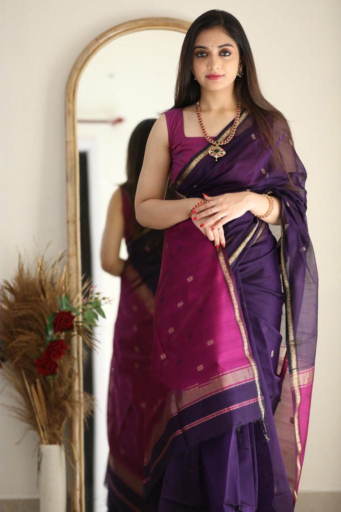 Ethnic Maheshwari Silk saree